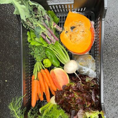 Genuss-Kiste Gemüse-Kiste Gärtnerei Fritsche