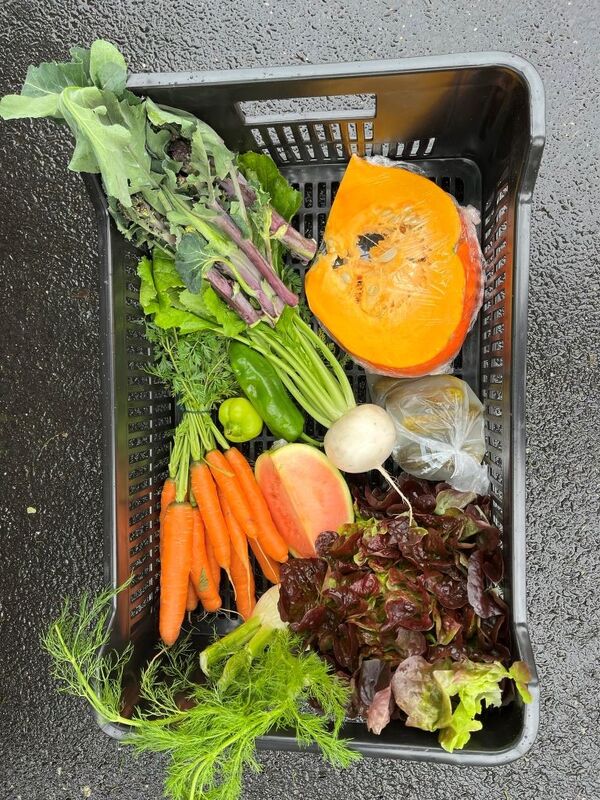 Genuss-Kiste Gemüse-Kiste Gärtnerei Fritsche